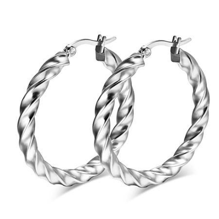 Lesley Stainless Steel Hoop Earrings