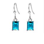 Amira Women's Cubic Zirconia Drop Earrings